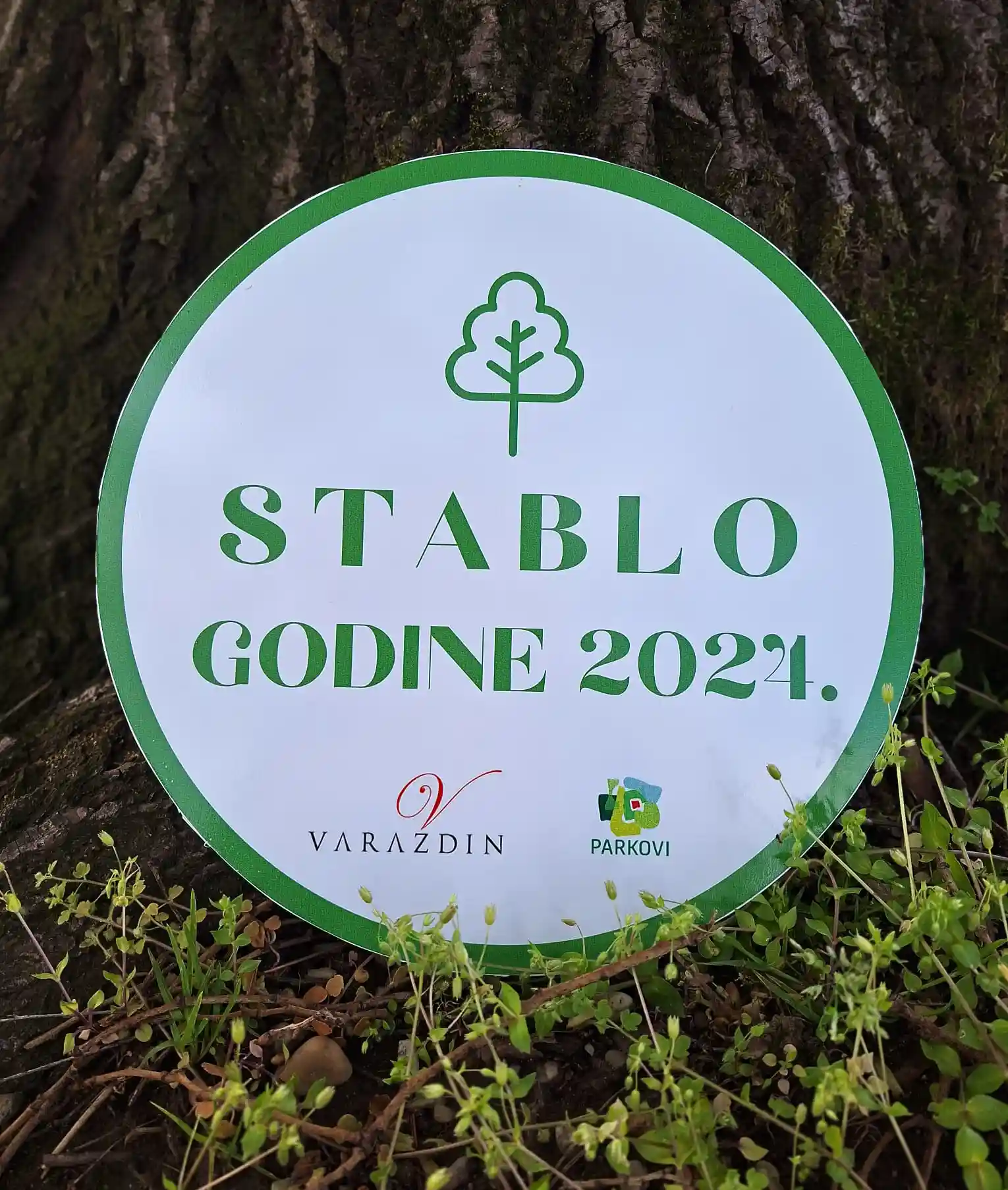 Stablo godine Varaždin 2024